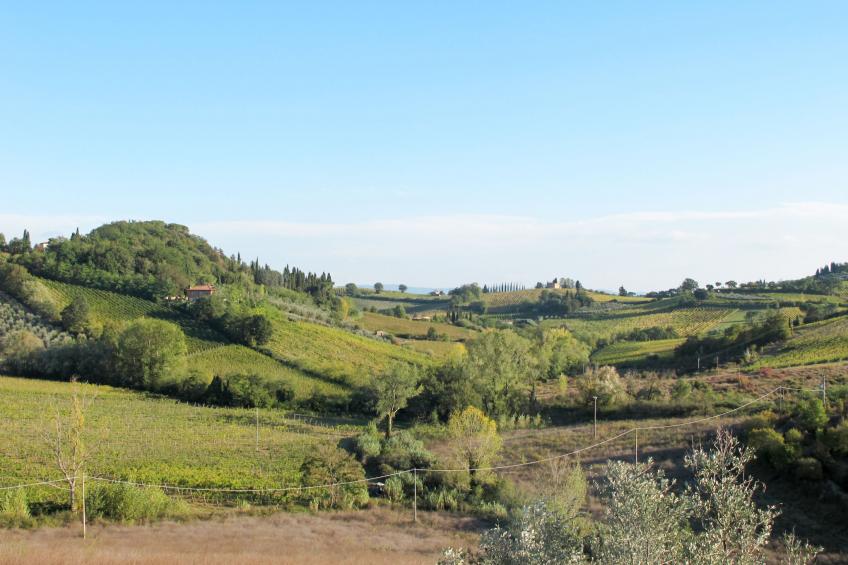 Wohnung Monteriggioni - foto 30
