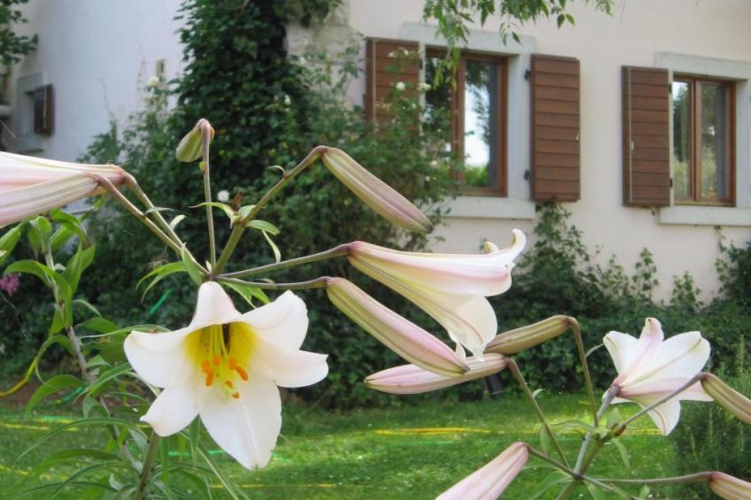 Casa Gaia Grande - foto 3