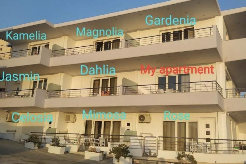 "Mimosa" direkt am Strand - foto 6