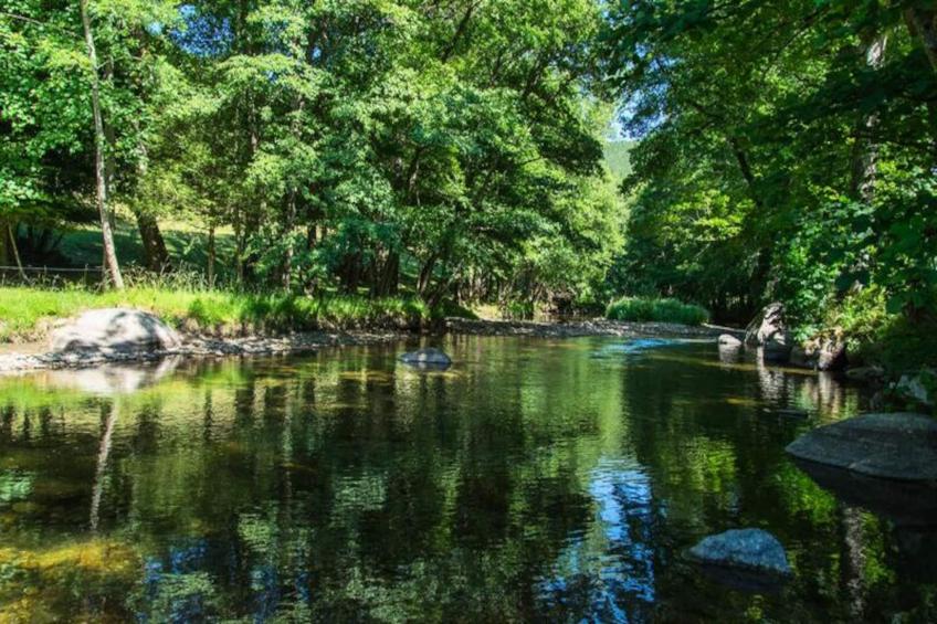 Gîte de France L'etable de pierre 4 épis - foto 28