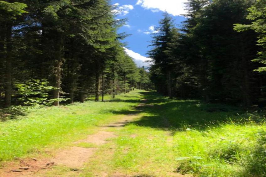 T. DU MOREL A N°25 - 2P5 - foto 14