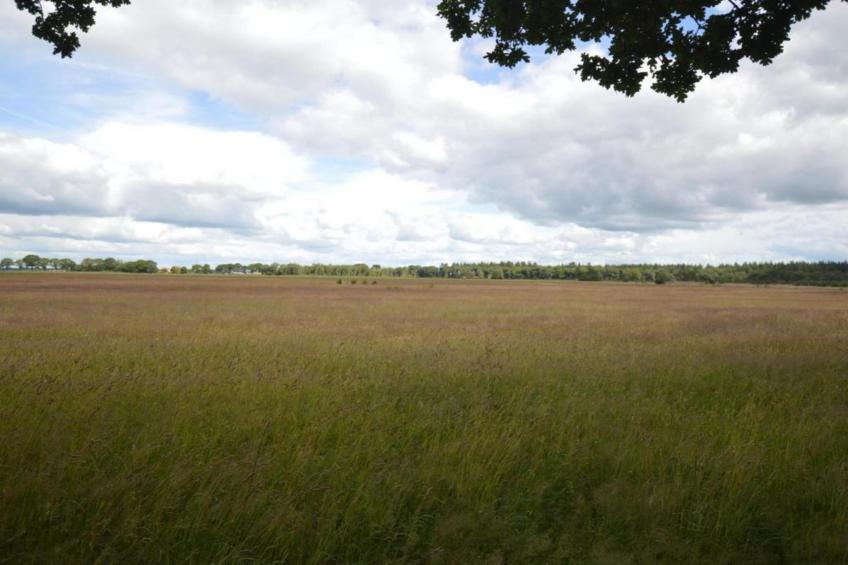 Hof van Salland - foto 32