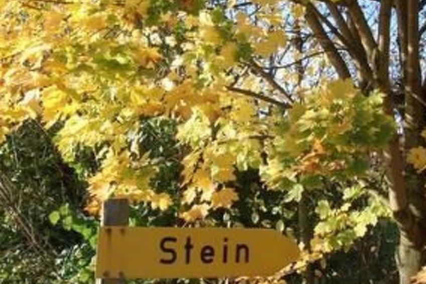 Stein - foto 9