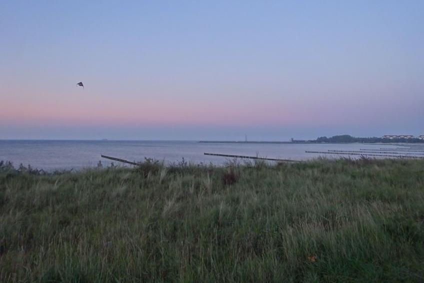 Sweet Home - foto 25