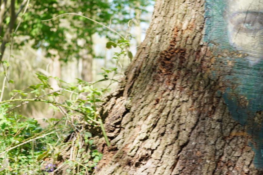 Spree Idyll - foto 26