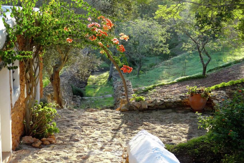 Finca Planetas - foto 6