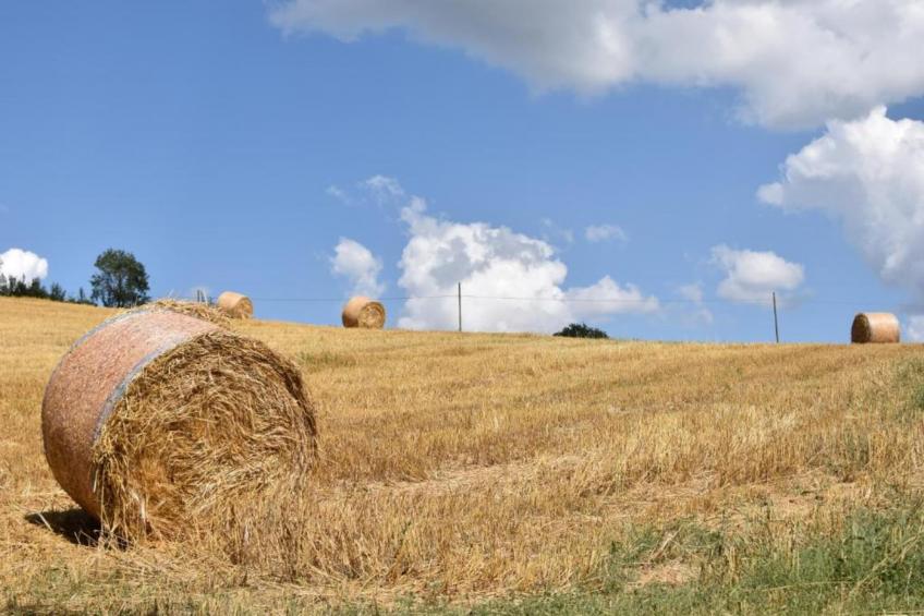 Villa Monte Acuto - foto 32