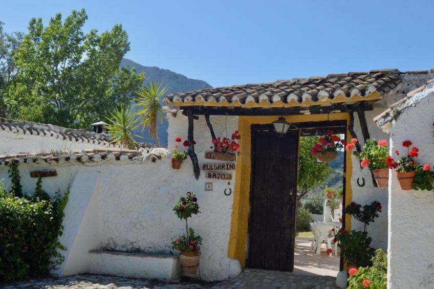 Cortijo Pulgarin Bajo - foto 30