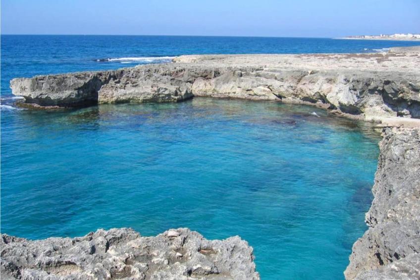 Profumo di Mare - foto 31
