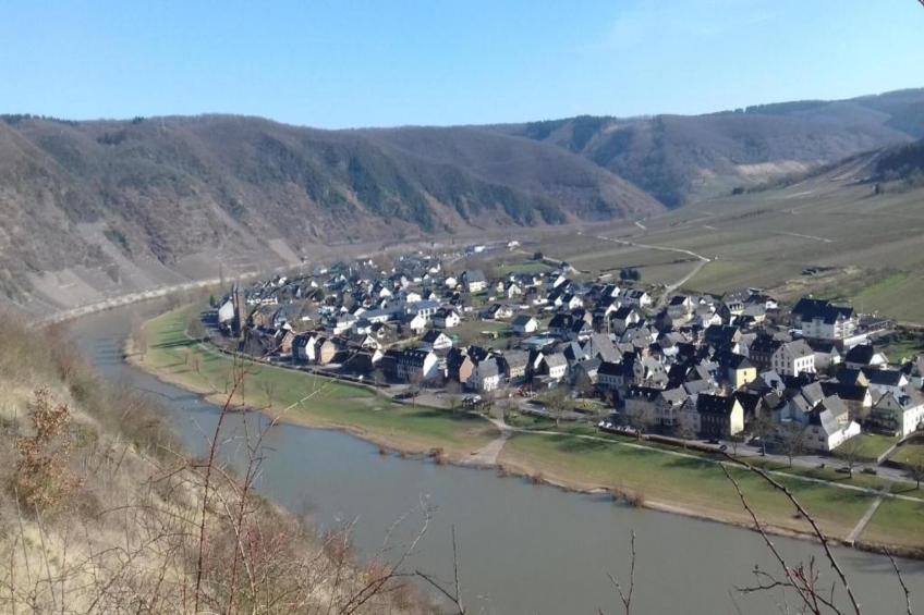 Weingut Hausmann - foto 37