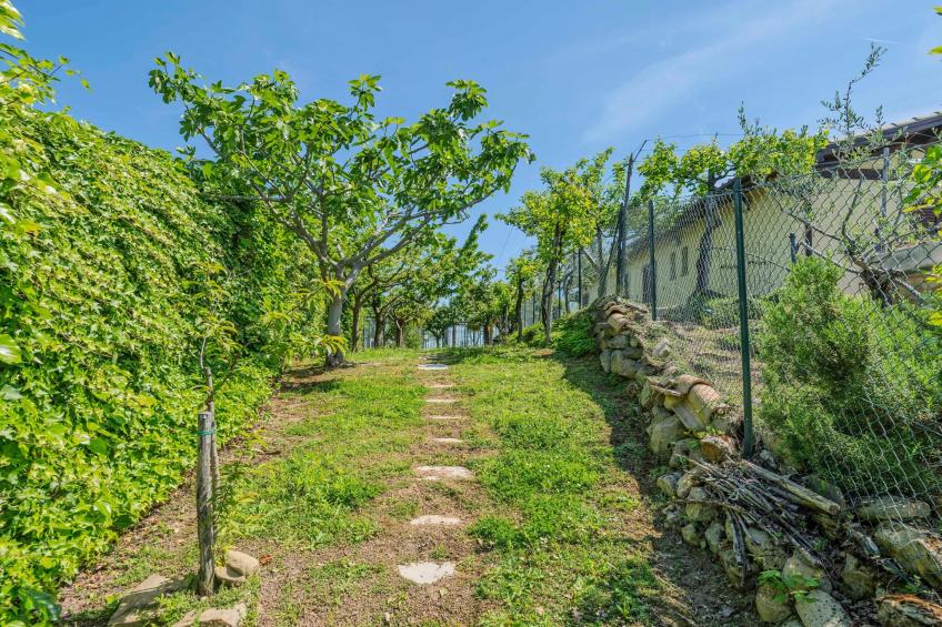 Bella Epoque - foto 37