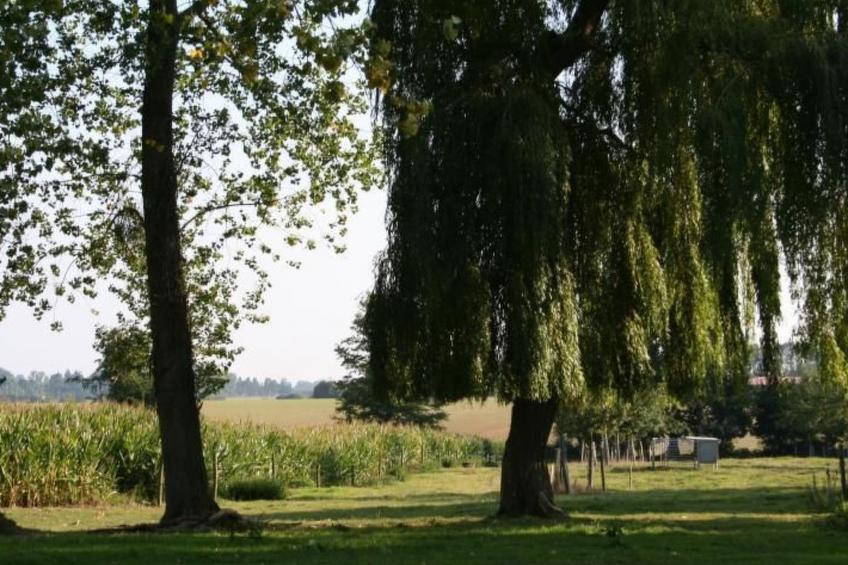 für acht Personen - foto 26