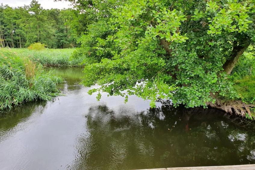 Ferienwohnung Weitblick - foto 18