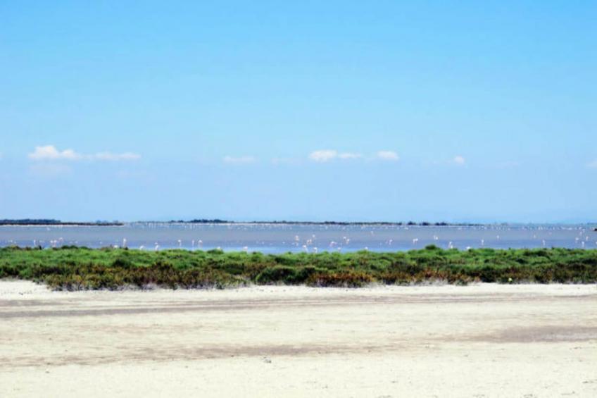 Résidence Maryland. Vue Mer Port Haliguen Plage Du Porigo - foto 4