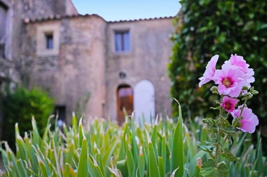 Mas La Miellerie | Charme Authentique Et Nature - foto 63