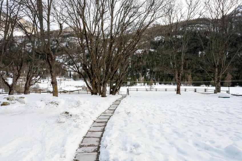 BILO 2 CERESOLE - foto 6