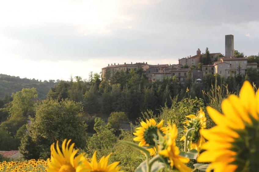 Villa mit privatem Spa und beheiztem Pool - foto 36