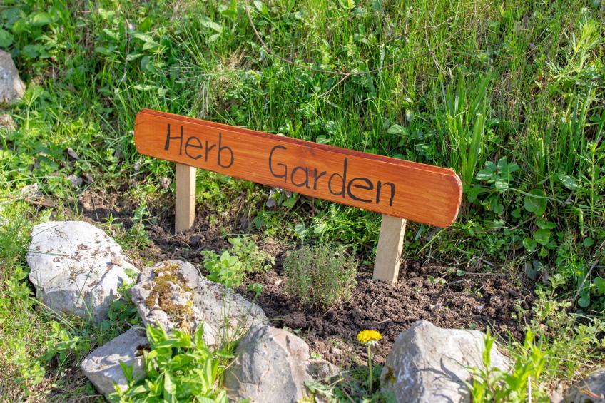 "Schmetterlingsplatz" - foto 29