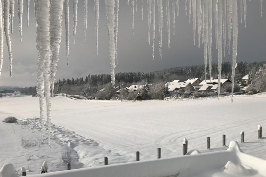 Haus Ketterer - foto 22