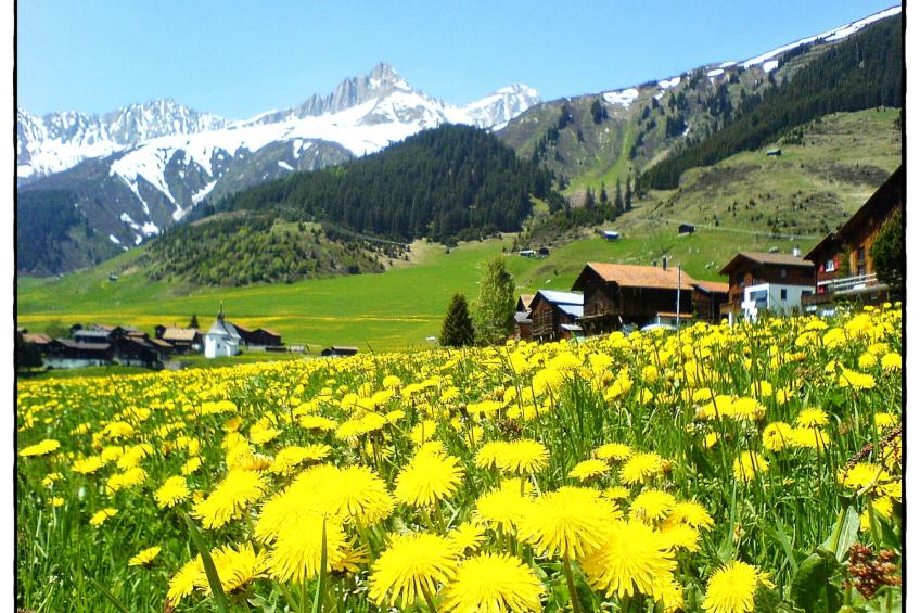 Chalet Dargun Bünter, (Camischolas/Sedrun), 221./222./224./.01+.02+.03 - foto 15