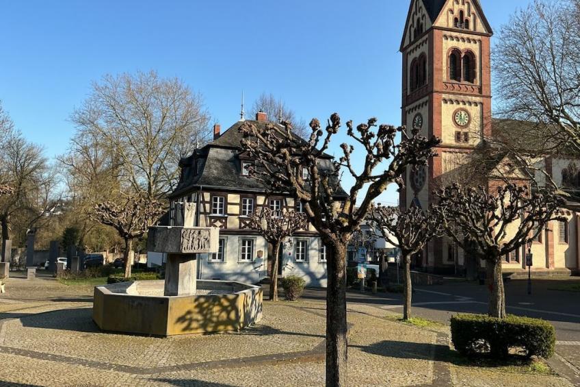 790658 - foto 26