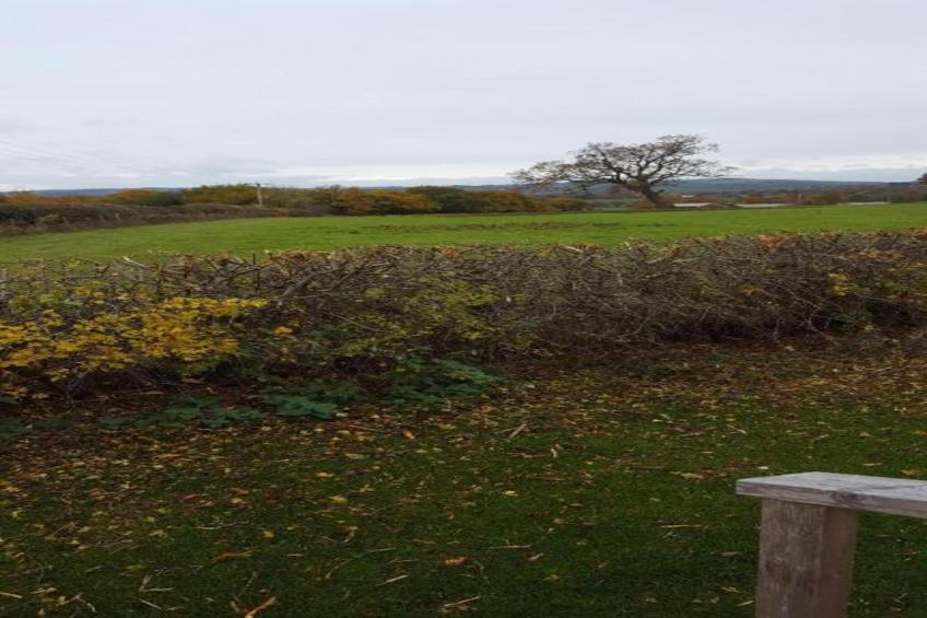 Netley Hall - Rose - foto 31