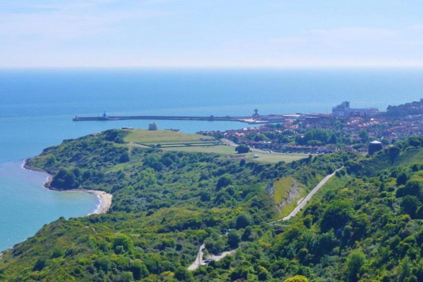 Golden Swan House - foto 26