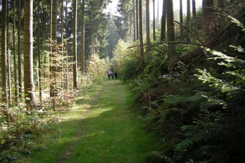 Bungalow Typ B 4P - Camping Park in der Eifel - foto 29