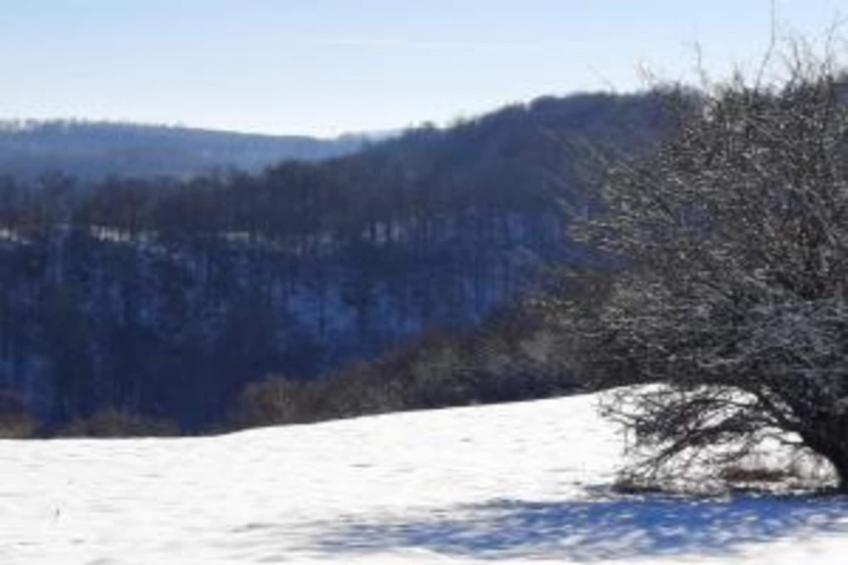 Ferienwohnung Jagdglück - foto 32