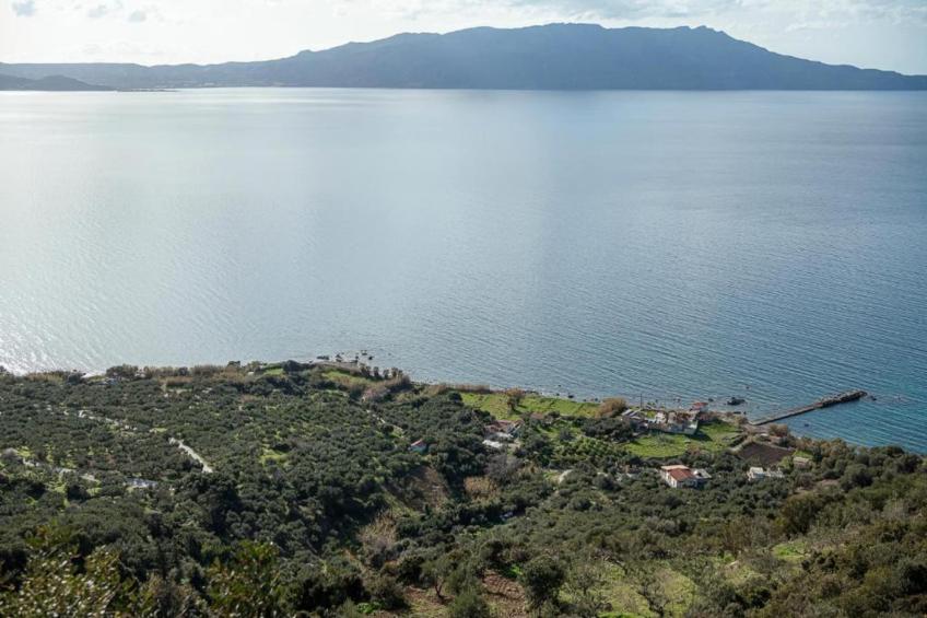 Seaview Studio 1 - foto 37