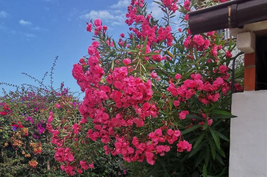 Renovierte Finca Paradies mit privatem Pool - foto 25