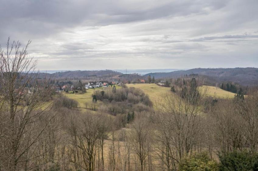 Waldferienhaus - foto 36