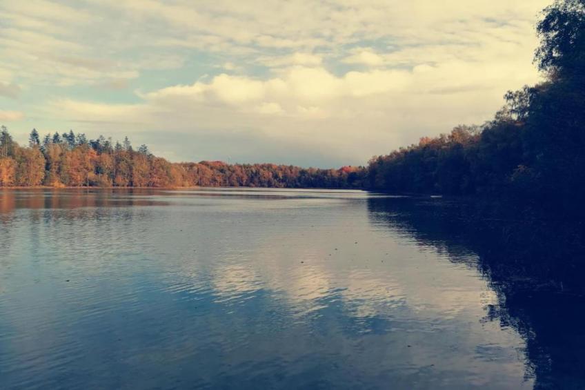 De Drentsche Patrijs - foto 29