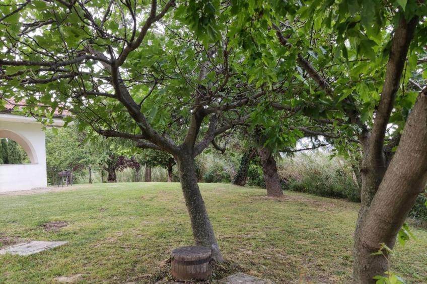 'Dear Peace on the Hill - foto 8