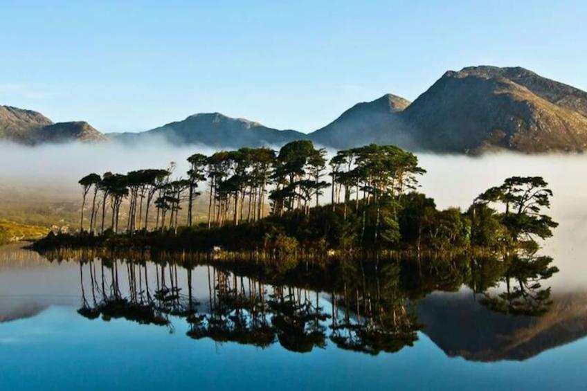 Maison à Ballyconneely Galway - foto 21