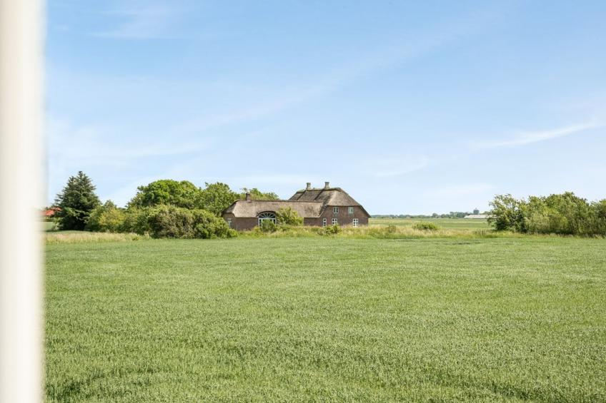 "Iina" in Western Jutland - foto 32