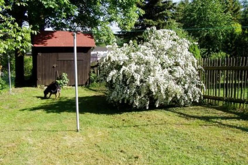 Schlossplatz - foto 9