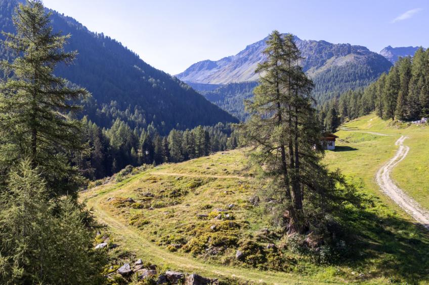 Mont-Fort 70 - foto 19