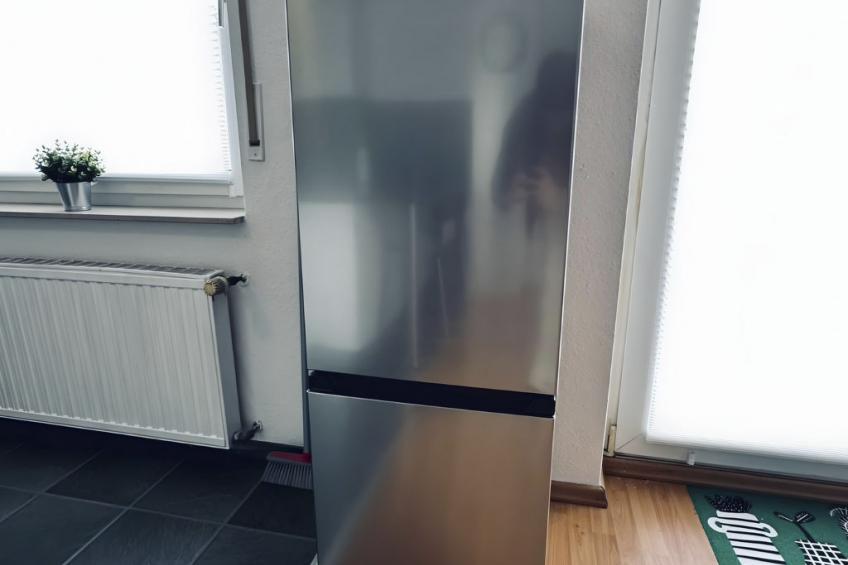 FeWo Waldhügelsee II - foto 11