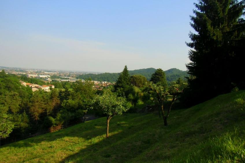 TaiObe - Fröhliches Partyhaus - foto 15