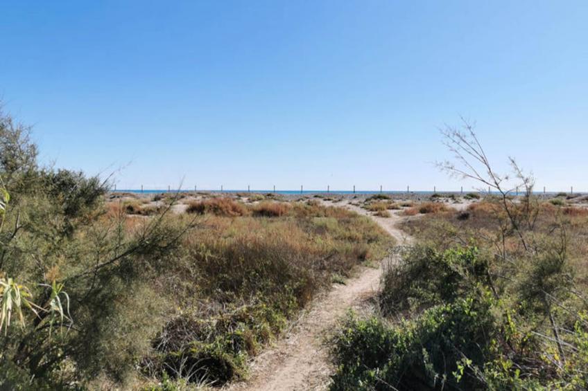 Appartements à Puerto de Sagunto - foto 48