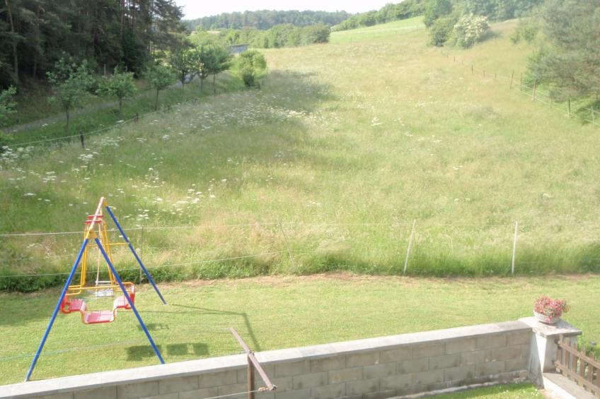 Resi Lux in Niederehe - foto 3