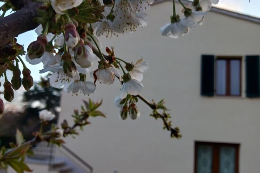 Natur, Komfort und Entspannung - foto 5