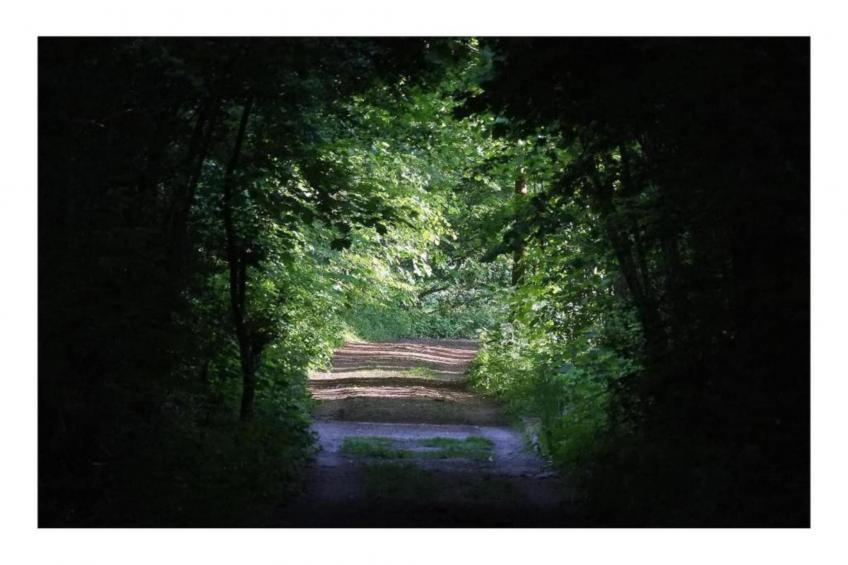 La Ferme Sainte-Adèle - foto 34