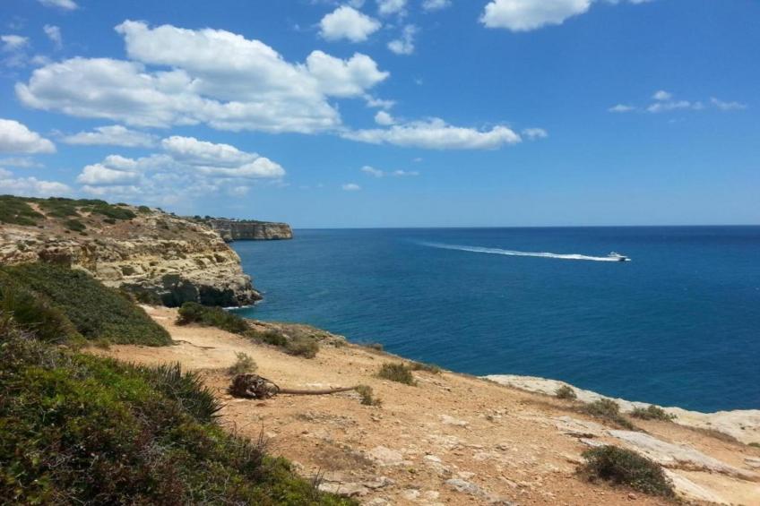 Montanha Vista - foto 31