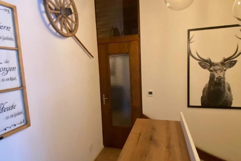 Fewo Pistenblick - foto 11