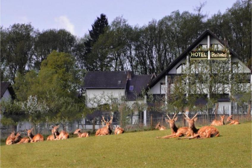 Heiderhof - Double Room - foto 31