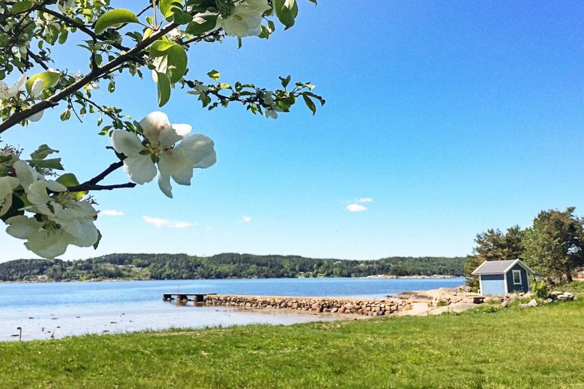 BF-5TM7X - foto 8