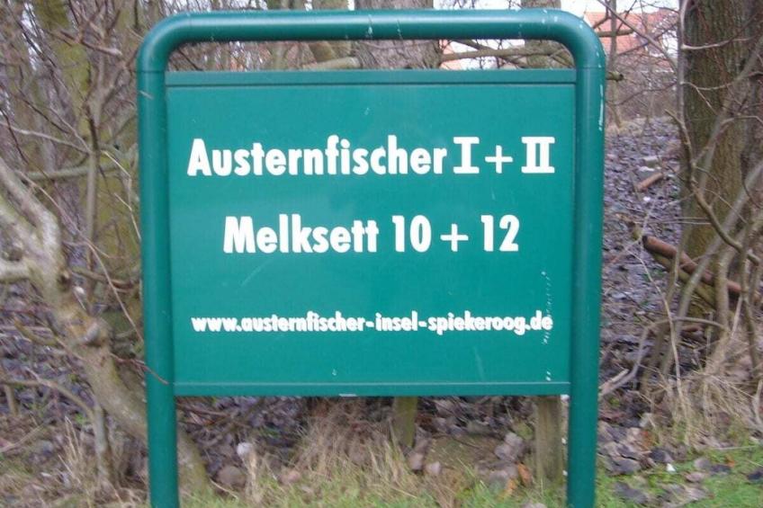 293119 - foto 2