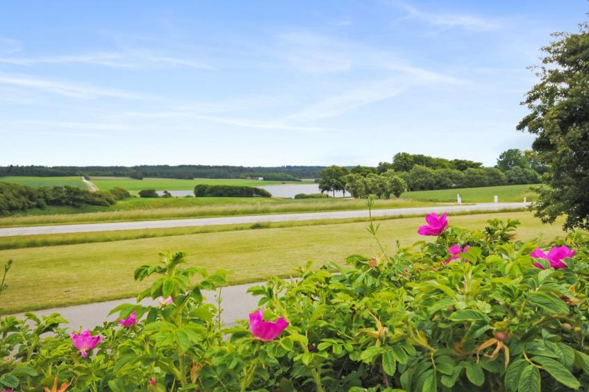 "Ludovic" - 7km from the sea in NW Jutland - foto 3